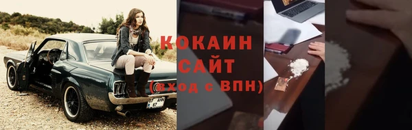 гашик Аркадак