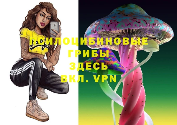 гашик Аркадак